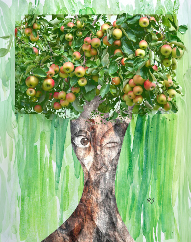 Apfelbaum | raphyshop. - Realisiert mit Pictrs.com