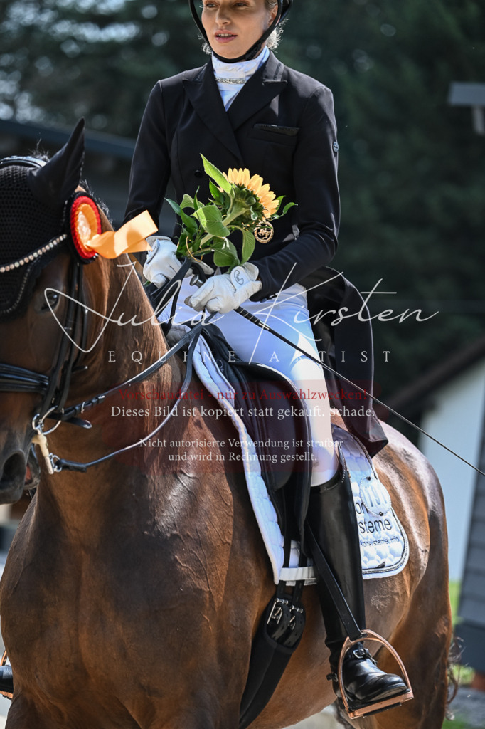 DSC_2670 | Pferde- und Turnierfotografie in Westsachsen. Pferdeportraits, Auftragszeichnungen und intuitive Kunst.