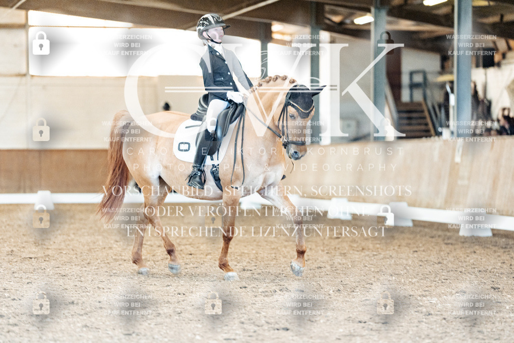 CK909589 | Turnierfotografie Pferdefotografie Trier Rheinland-Pfalz Pferdesport Reitsport Tierfotografie Sportfotografie Pferdevideo Pferdevideografie Equestrianvideography equestrianphotography  - Realisiert mit Pictrs.com