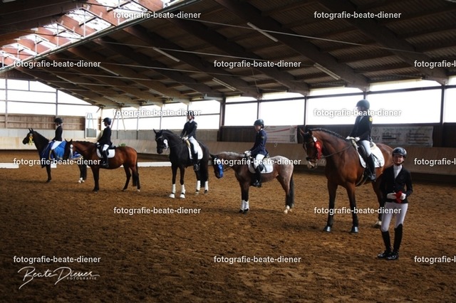 JugendTrophy0621 | Fotografie, Tiere, Hunde, Katzen, Pferde, Sportfotografie, Fotosession, Tierfotografie, Turnierfotografie, Fotografin, Fotograf - Realisiert mit Pictrs.com