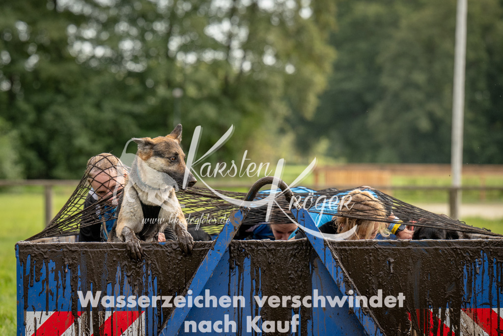 1042_ZZ91922 | kk-dogfotos