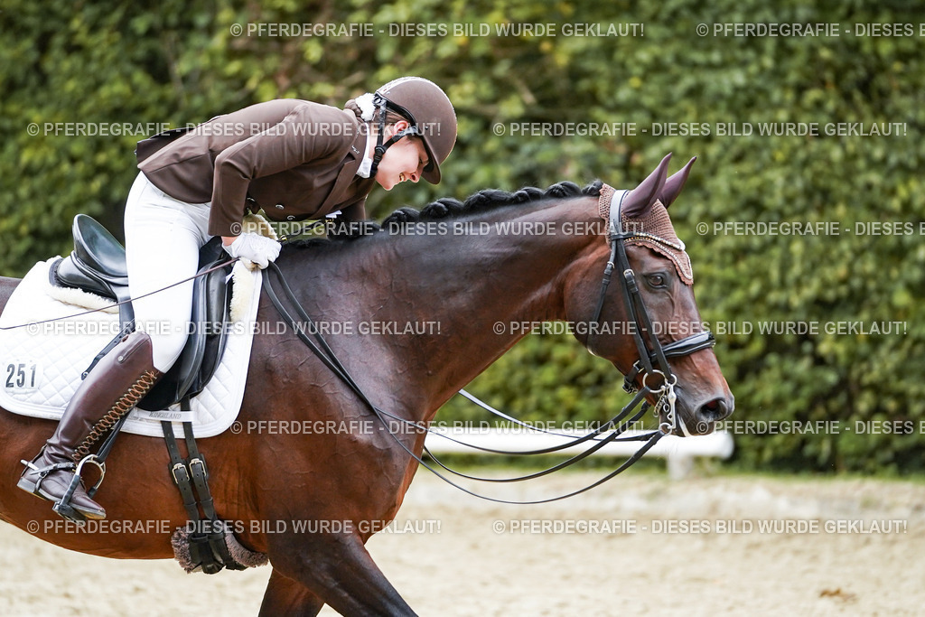 DSC01111 | Pferdegrafie