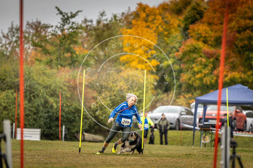 Pfotenfotografie_DV3A2086 | Hundefotografie, Tierfotograf, Pfotenfotografie, Fotoshooting Hund, Hunde Portrait, Hundesport, Hundeportraits, Heideshooting, Hunde, Sportfotograf, Hundefotograf, Turnierhundsport, THS,  - Realisiert mit Pictrs.com