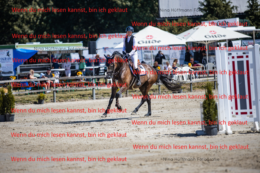 BK1A5389 | Turnierbilder Turnierfotos Nina Hüffmann Turnierfotografie Pferdefotografie Tierzeichnung Haustierzeichnung Pferdezeichnung Hundezeichnung Videograf  - Realisiert mit Pictrs.com