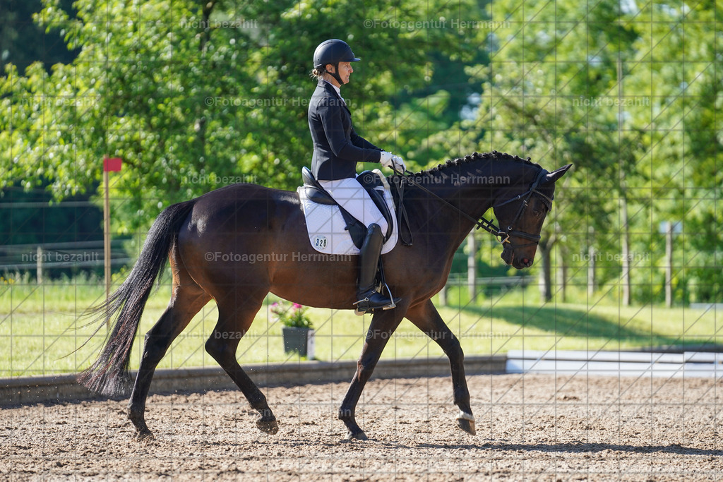 20240519-FAH04467 | Turnierbilder Niederseeon 2024, Vielseitigkeitsdressur, Reitsportbilder aus dem Landkreit Ebersberg, Gut Steinsee, RC Steinsee, Fotoagentur Herrmann