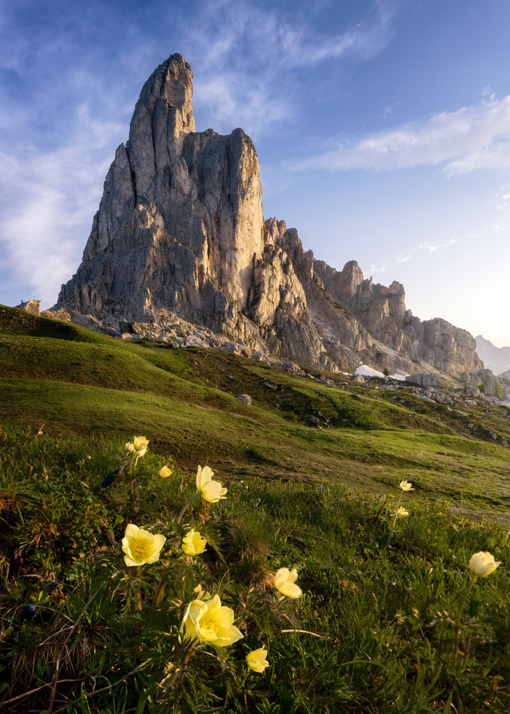 Flowers and Stones | tobiasneyer - Realisiert mit Pictrs.com
