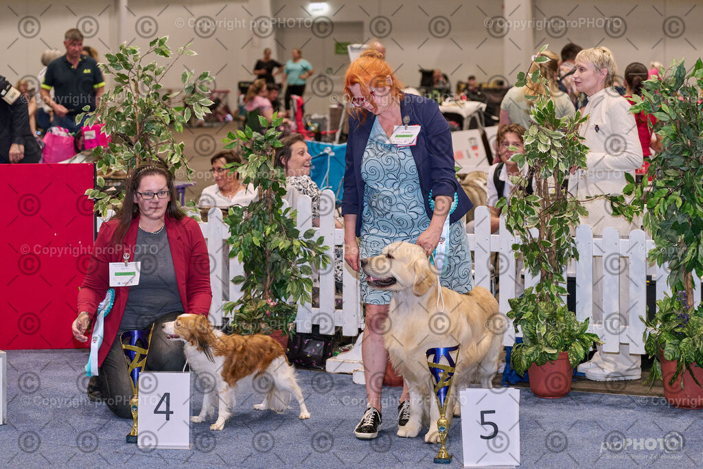 202406_ÖKV-IHA-Tulln24_NZ9_7873 | proPHOTO - Realisiert mit Pictrs.com