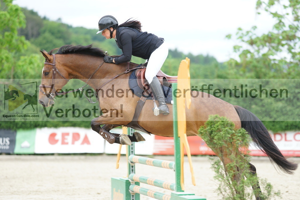 DSC07791 | equestrian-live-com