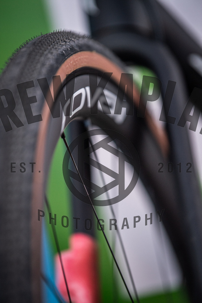 DKP-7146 | Drew Kaplan Photography