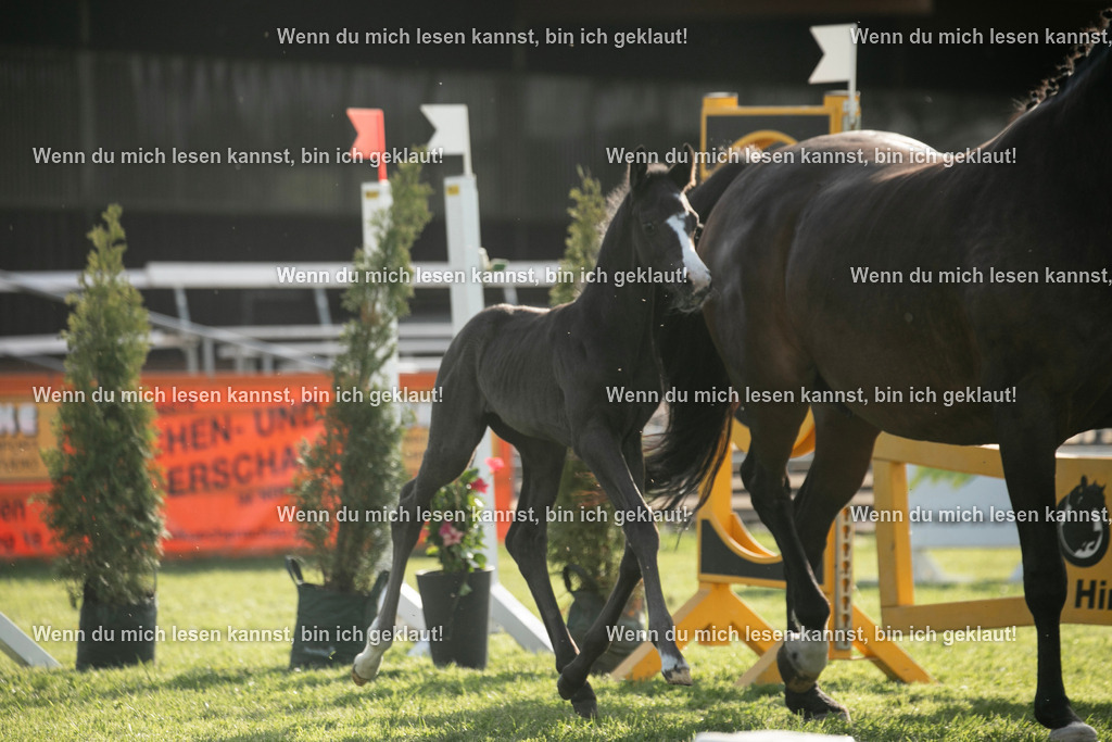598A7452 | photographylinaismer - Realisiert mit Pictrs.com