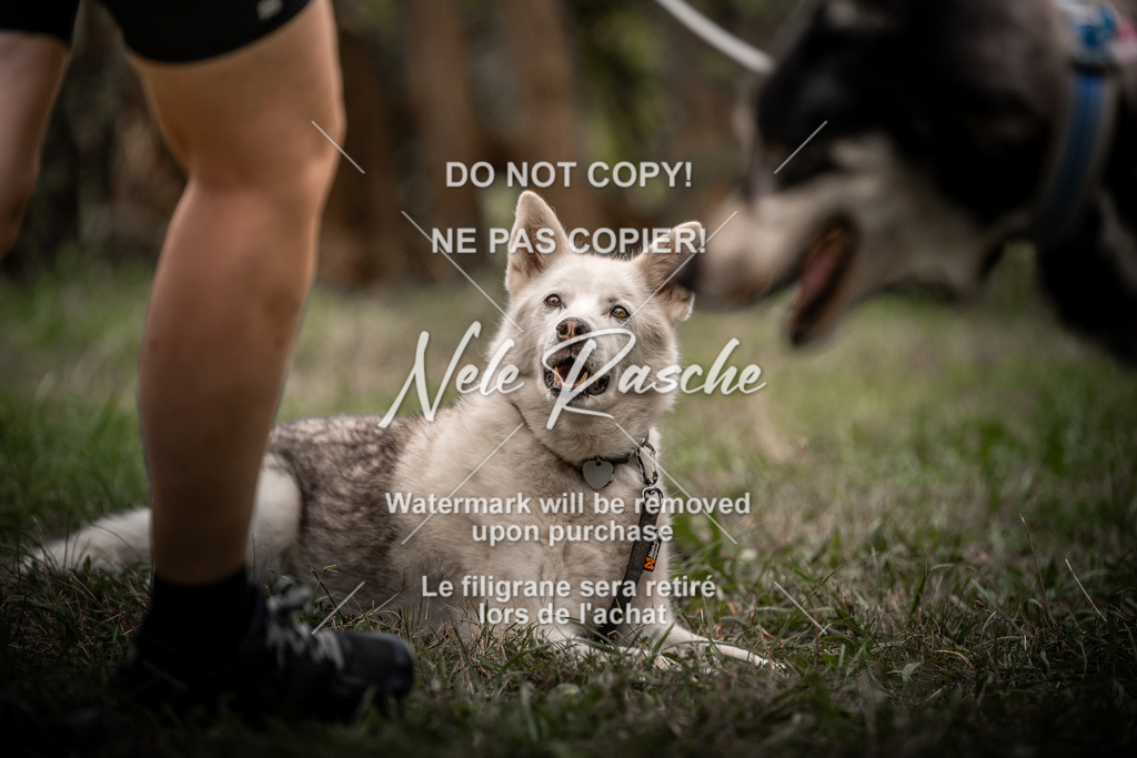 nelerasche_slaw24Fr1_484 | nelerasche