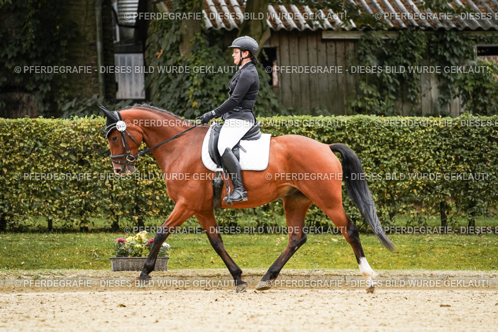 DSC07144 | Pferdegrafie