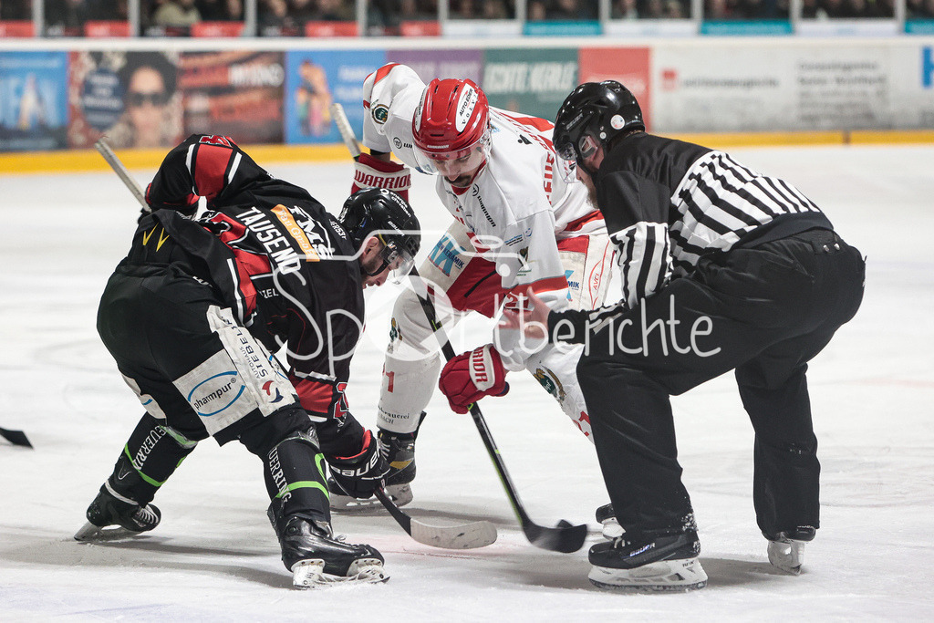 EHC Königsbrunn - TEV Miesbach | Dennis TAUSEND (EHC #24) beim Bully gegen Felix FEUERREITER (TEV #21)