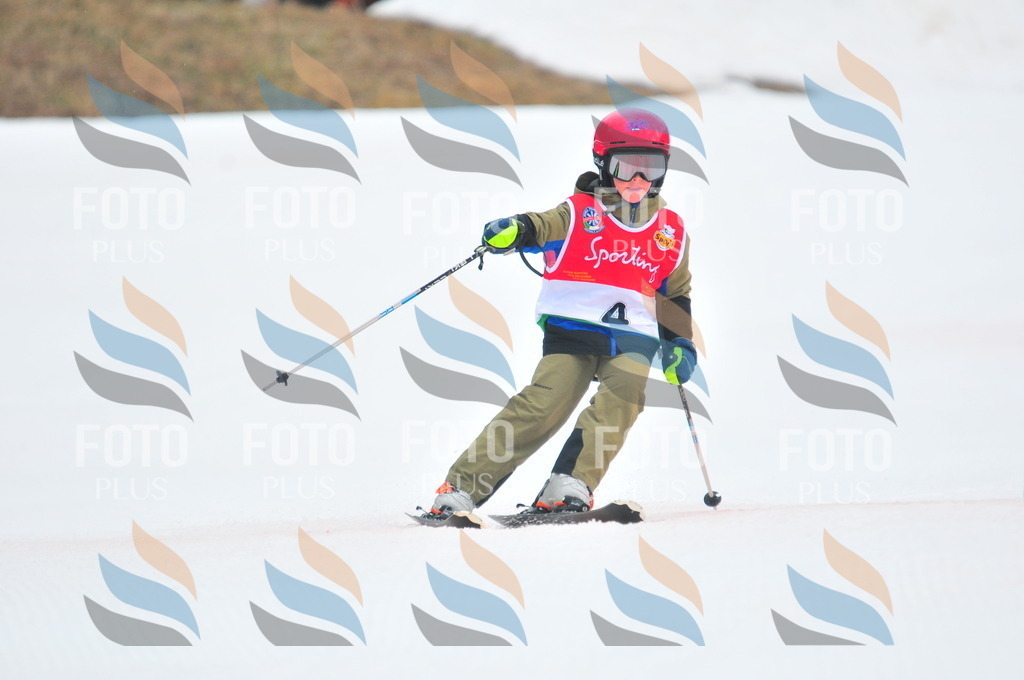 C0545 | holidayphoto