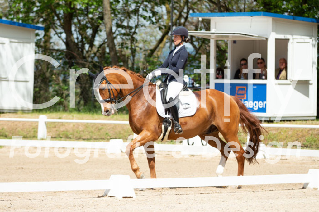 IMG_5691 | Creatify Fotografie