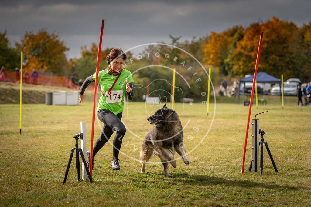 Pfotenfotografie_DV3A5857 | Hundefotografie, Tierfotograf, Pfotenfotografie, Fotoshooting Hund, Hunde Portrait, Hundesport, Hundeportraits, Heideshooting, Hunde, Sportfotograf, Hundefotograf, Turnierhundsport, THS,  - Realisiert mit Pictrs.com
