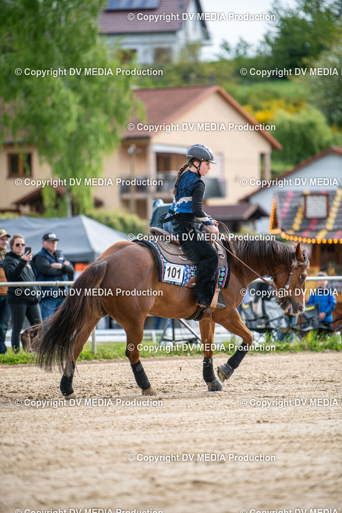 Heiligenwald Tag 3-509 | dv-media-shop - Realisiert mit Pictrs.com