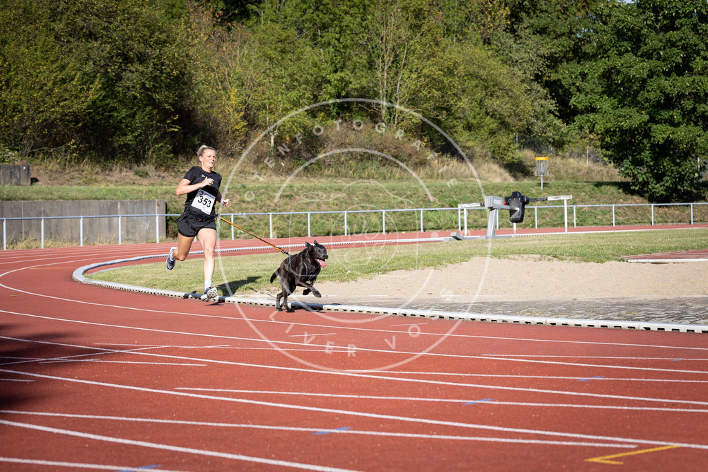 Pfotenfotografie_DV3A9534 | Hundefotografie, Tierfotograf, Pfotenfotografie, Fotoshooting Hund, Hunde Portrait, Hundesport, Hundeportraits, Heideshooting, Hunde, Sportfotograf, Hundefotograf, Turnierhundsport, THS,  - Realisiert mit Pictrs.com