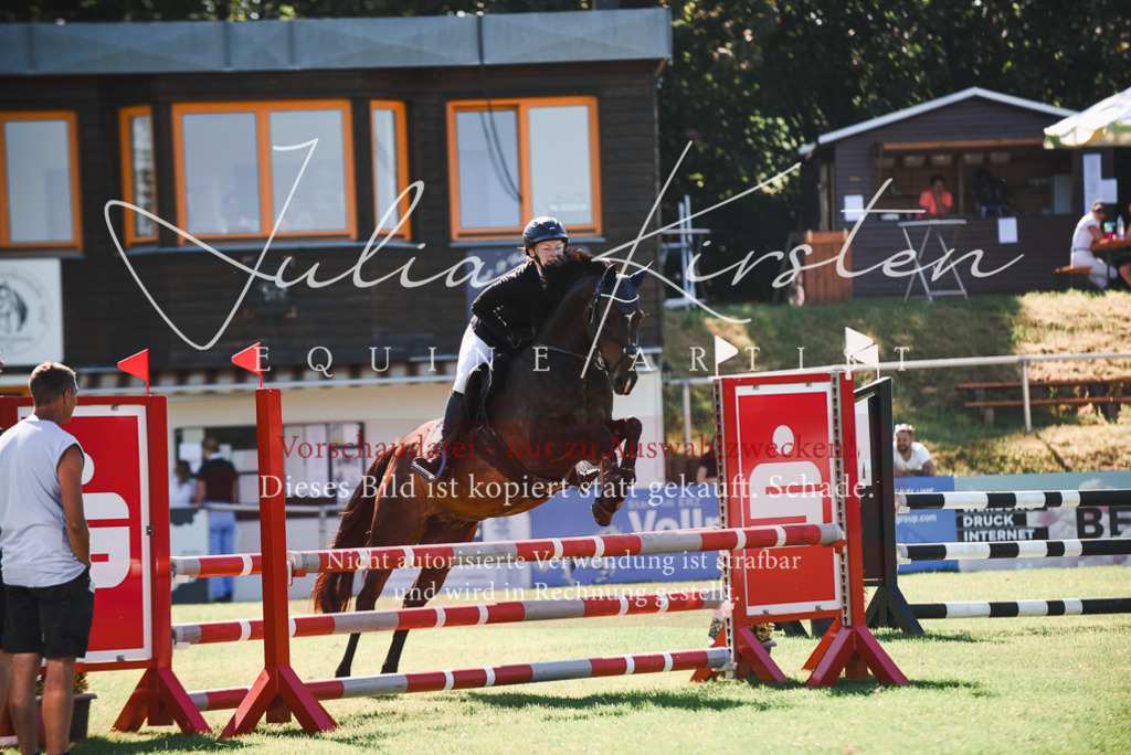 DSC_2569 | Pferde- und Turnierfotografie in Westsachsen. Pferdeportraits, Auftragszeichnungen und intuitive Kunst.