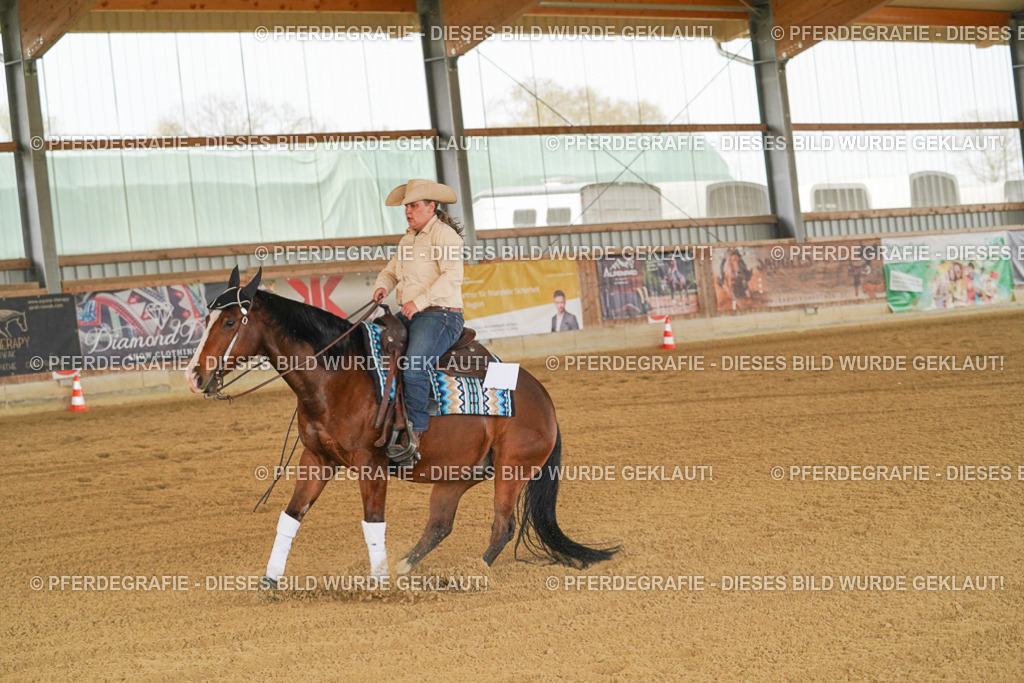 DSC07155 | Pferdegrafie