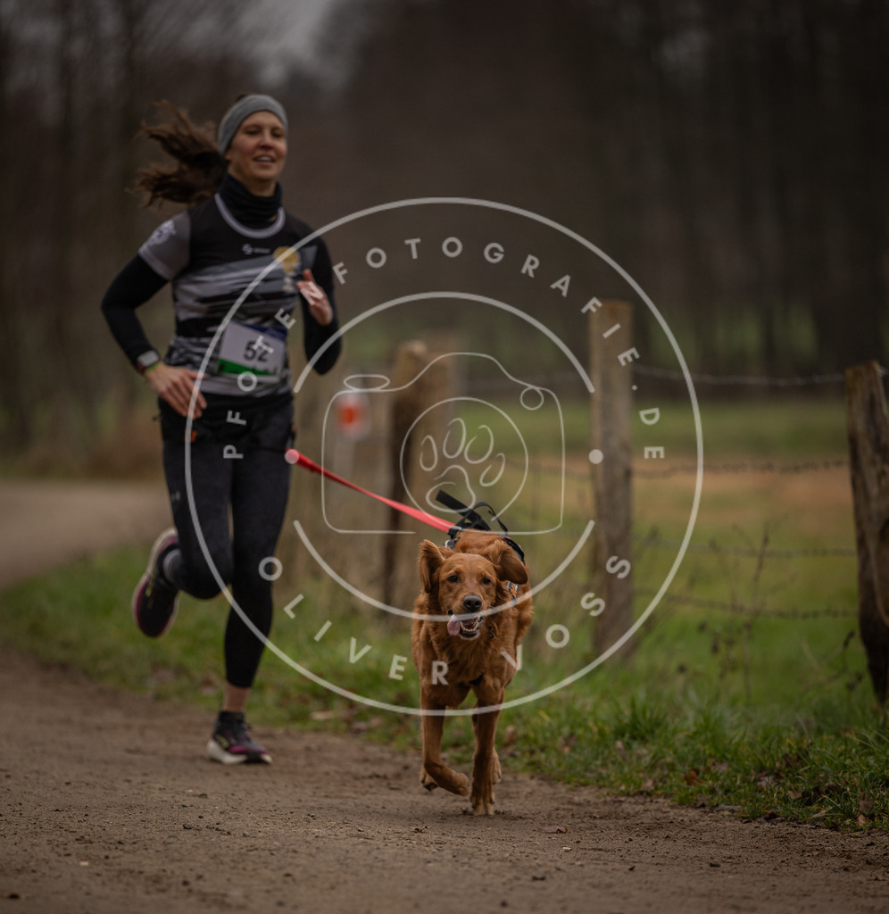 Pfotenfotografie_DV3A2924 | Hundefotografie, Tierfotograf, Pfotenfotografie, Fotoshooting Hund, Hunde Portrait, Hundesport, Hundeportraits, Heideshooting, Hunde, Sportfotograf, Hundefotograf, Turnierhundsport, THS,  - Realisiert mit Pictrs.com