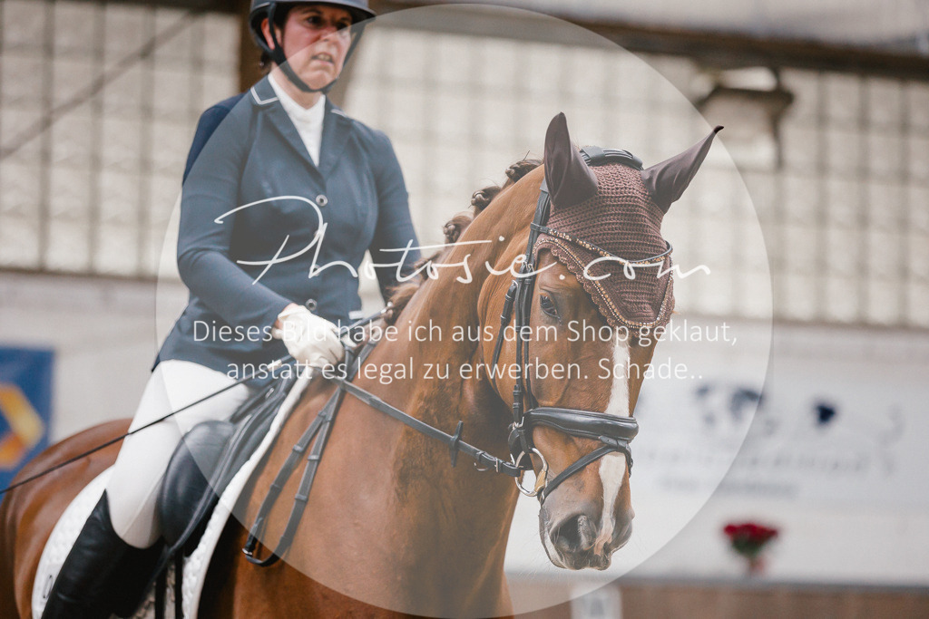 3I6A6195 | Stimmungsvolle Portraits und Reitsportfotografie im Ruhrgebiet und im Münsterland.

Pferdefotografie, Hundefotografie, Tierfotografie, Reportagen, Portraits von Tier und Mensch, Turnierfotografie in Bochum, Recklinghausen, Marl, Haltern am See, Dülmen.. - Realisiert mit Pictrs.com