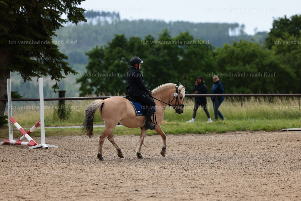KlasseE_Stoibphotography_CAM22304.JPG | working equitationturnier fotograf videograf stoibphotography marixx film working equitation deutschland reitsport turnierfotografie eventfotografie equestrian events