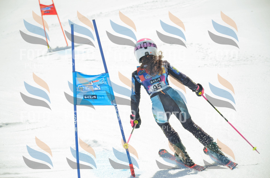 _ELE5727 | holidayphoto