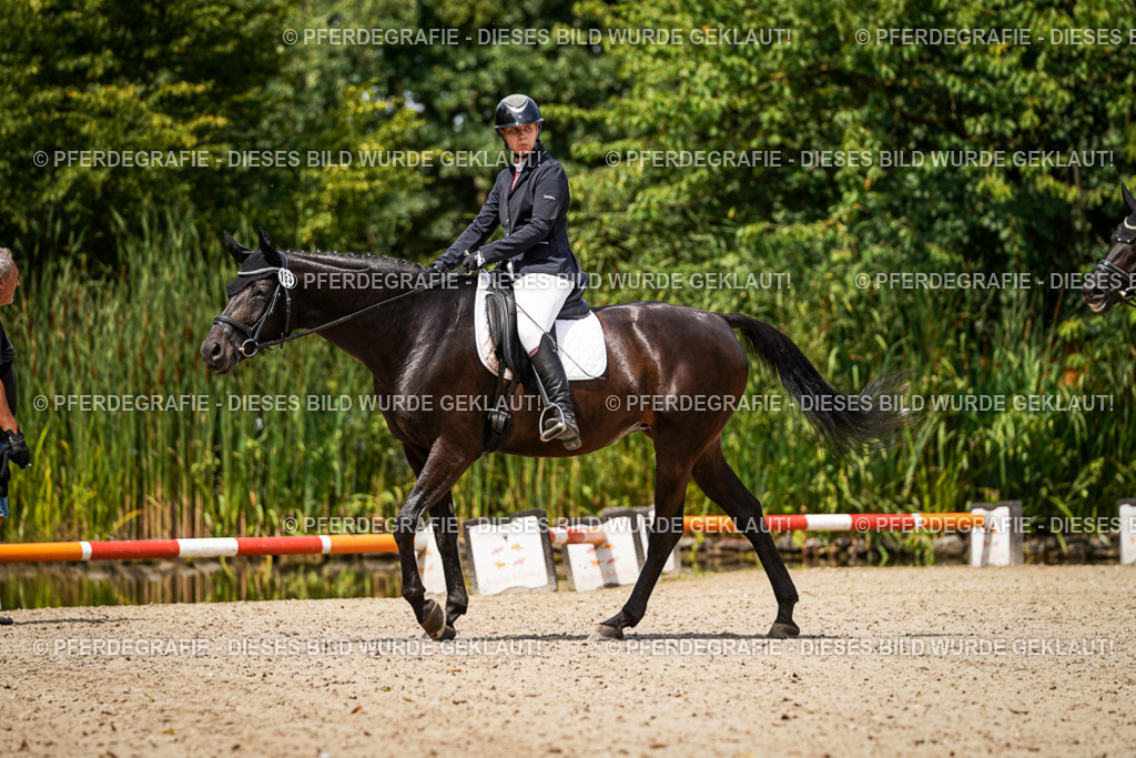 DSC02889 | Pferdegrafie