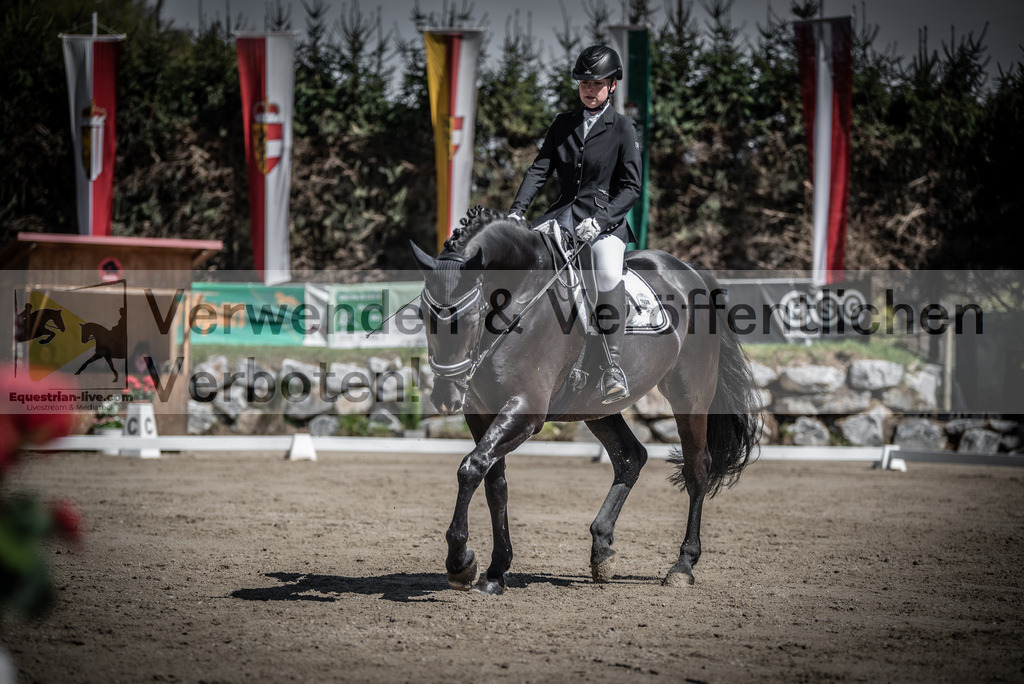 DSC_0246 | equestrian-live-com