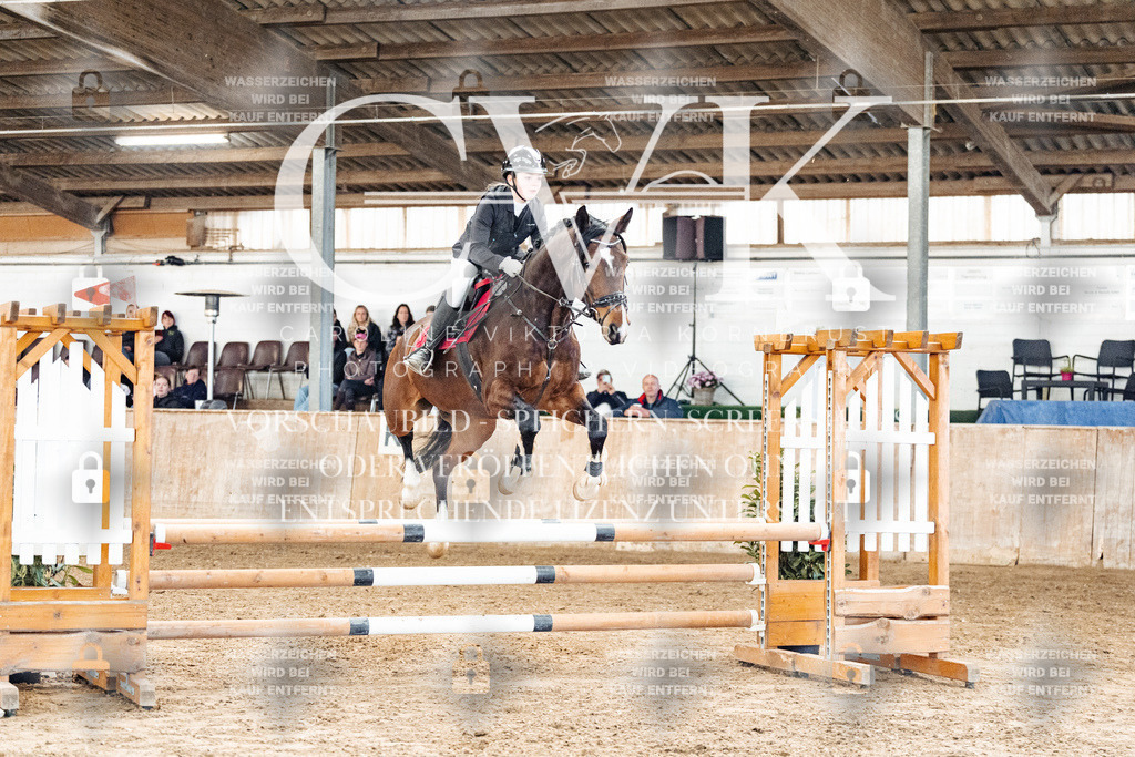 CK904526 | Turnierfotografie Pferdefotografie Trier Rheinland-Pfalz Pferdesport Reitsport Tierfotografie Sportfotografie Pferdevideo Pferdevideografie Equestrianvideography equestrianphotography  - Realisiert mit Pictrs.com
