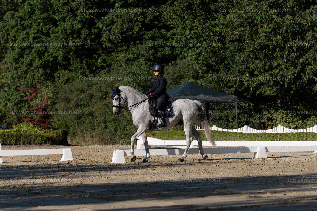 WM_DR_143_sinafilmart_IN04553 | working equitationturnier fotograf videograf stoibphotography marixx film working equitation deutschland reitsport turnierfotografie eventfotografie equestrian events