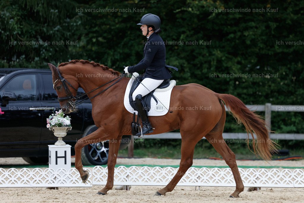 3-111-Dressur M_-StoibPH-2303 | working equitationturnier fotograf videograf stoibphotography marixx film working equitation deutschland reitsport turnierfotografie eventfotografie equestrian events
