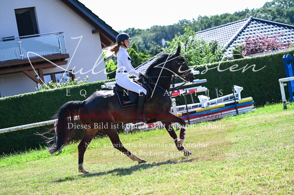 DSC_1549 | Pferde- und Turnierfotografie in Westsachsen. Pferdeportraits, Auftragszeichnungen und intuitive Kunst.