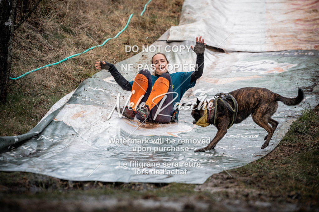 nelerasche_1100-1130_209 | nelerasche