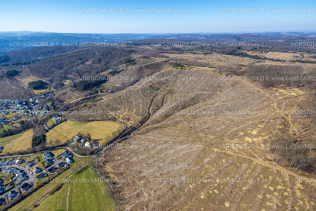 Arnsberg250305163Oeventrop | Luftbild, Waldgebiet mit Waldschäden am Ortseil Oeventrop, Glösingen, Arnsberg, Sauerland, Nordrhein-Westfalen, Deutschland