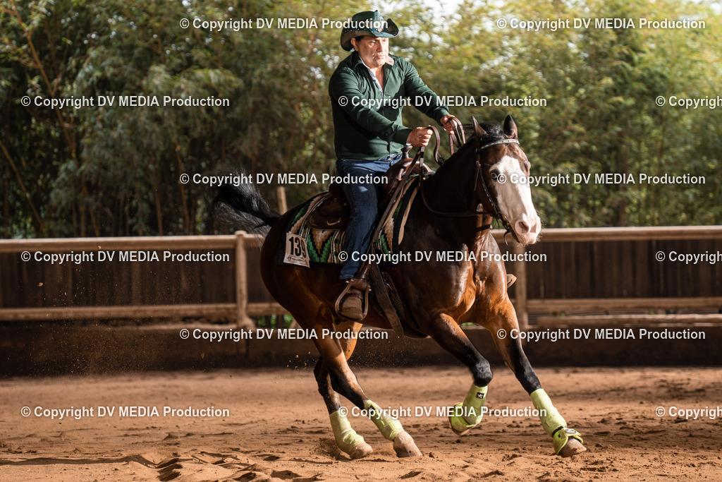 Erbach Tag 2-706 | dv-media-shop - Realisiert mit Pictrs.com