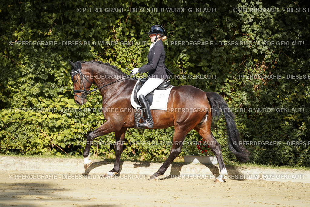 DSC07711 | Pferdegrafie