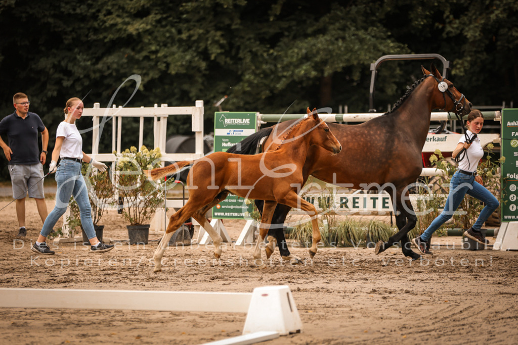 SaPA00264 | Leoni Ertmer Photography - Realisiert mit Pictrs.com