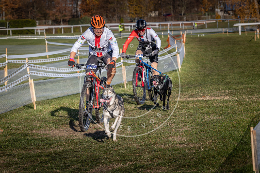 CaniXpix_0L8A4690 | Hundefotografie, Tierfotograf, Pfotenfotografie, Fotoshooting Hund, Hunde Portrait, Hundesport, Hundeportraits, Heideshooting, Hunde, Sportfotograf, Hundefotograf, Turnierhundsport, THS,  - Realisiert mit Pictrs.com
