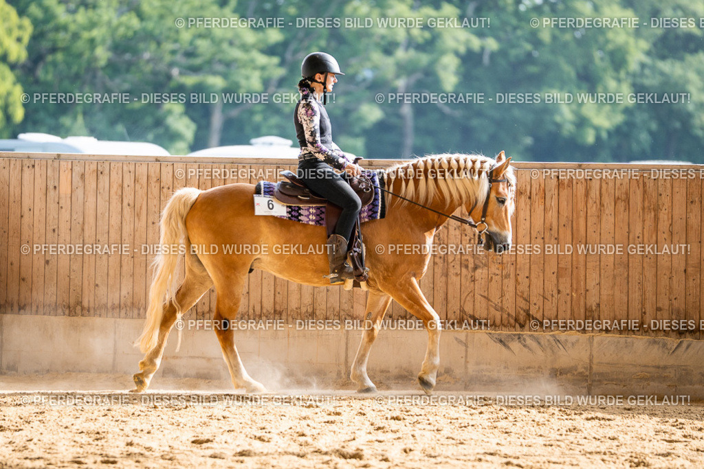 DSC08146 | Pferdegrafie