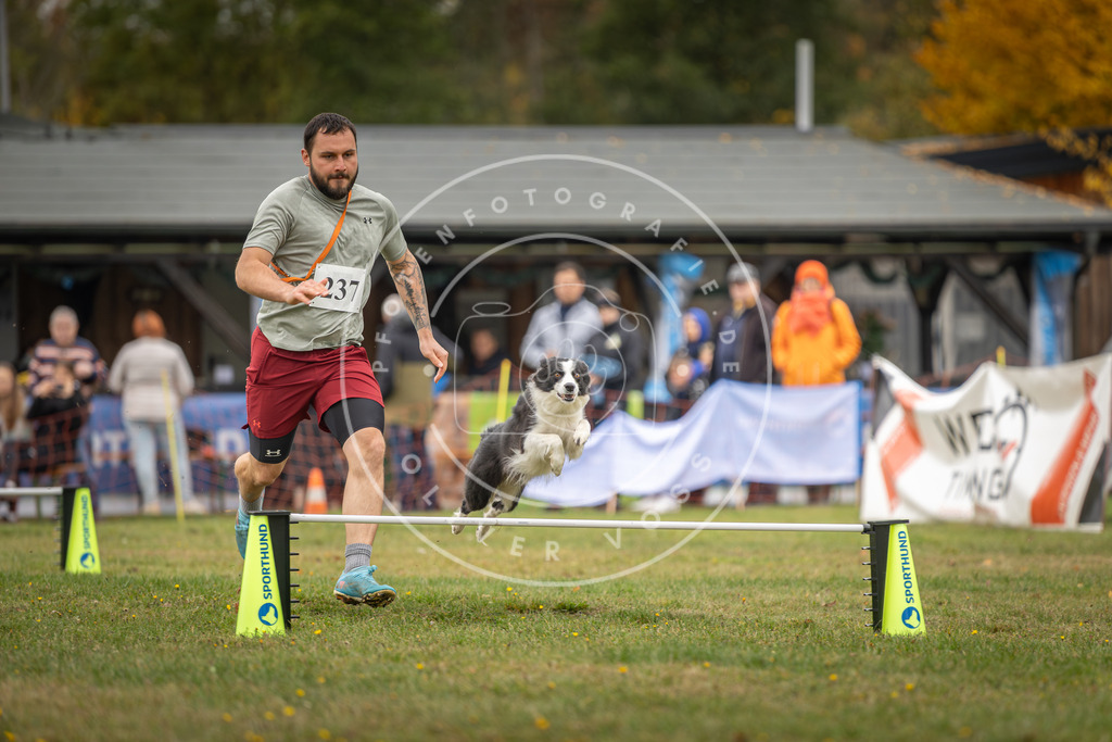 Pfotenfotografie_DV3A4922 | Hundefotografie, Tierfotograf, Pfotenfotografie, Fotoshooting Hund, Hunde Portrait, Hundesport, Hundeportraits, Heideshooting, Hunde, Sportfotograf, Hundefotograf, Turnierhundsport, THS,  - Realisiert mit Pictrs.com