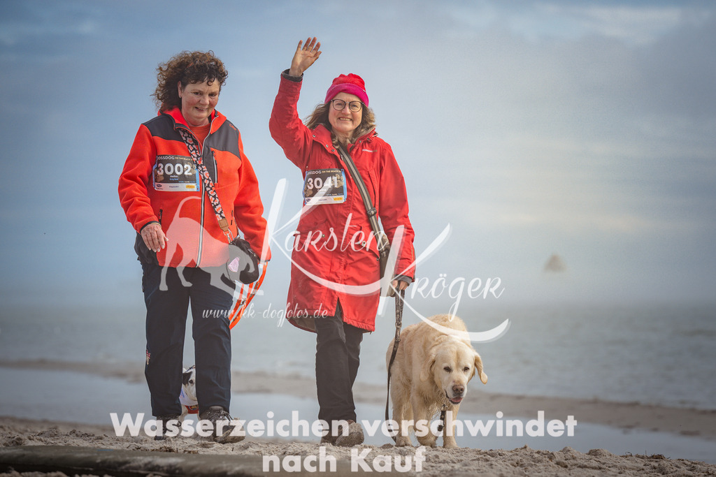 1201_ZZ93667 | kk-dogfotos