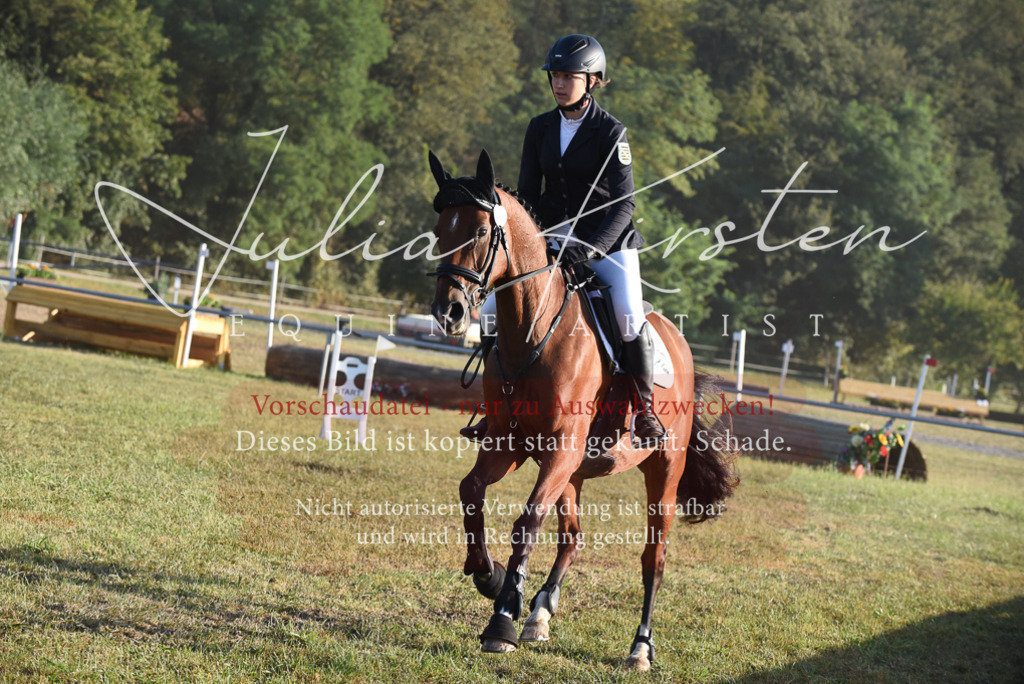 DSC_4873 | Pferde- und Turnierfotografie in Westsachsen. Pferdeportraits, Auftragszeichnungen und intuitive Kunst.