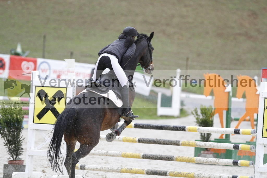 _MG_1397 | equestrian-live-com