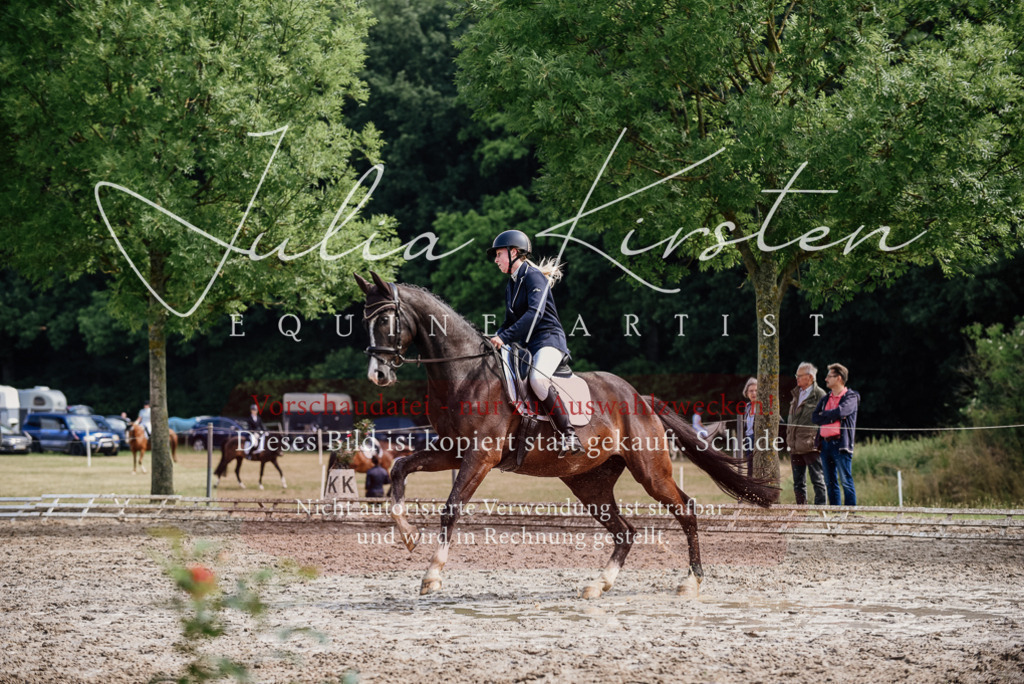 DSC_0113 | Pferde- und Turnierfotografie in Westsachsen. Pferdeportraits, Auftragszeichnungen und intuitive Kunst.