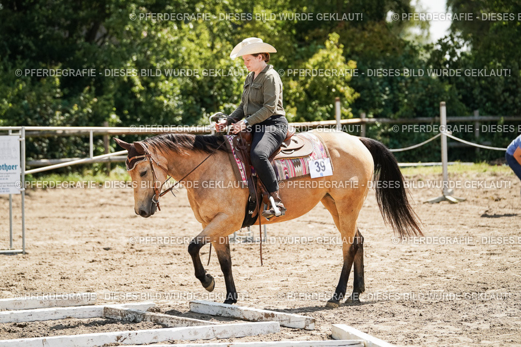 DSC06632 | Pferdegrafie