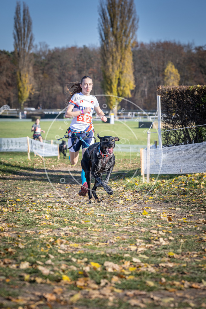 CaniXpix_DV3A9294 | Hundefotografie, Tierfotograf, Pfotenfotografie, Fotoshooting Hund, Hunde Portrait, Hundesport, Hundeportraits, Heideshooting, Hunde, Sportfotograf, Hundefotograf, Turnierhundsport, THS,  - Realisiert mit Pictrs.com