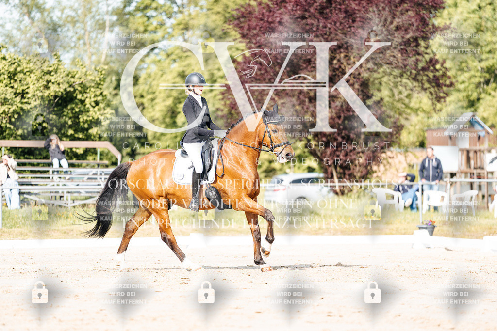 CK900128 | Turnierfotografie Pferdefotografie Trier Rheinland-Pfalz Pferdesport Reitsport Tierfotografie Sportfotografie Pferdevideo Pferdevideografie Equestrianvideography equestrianphotography  - Realisiert mit Pictrs.com