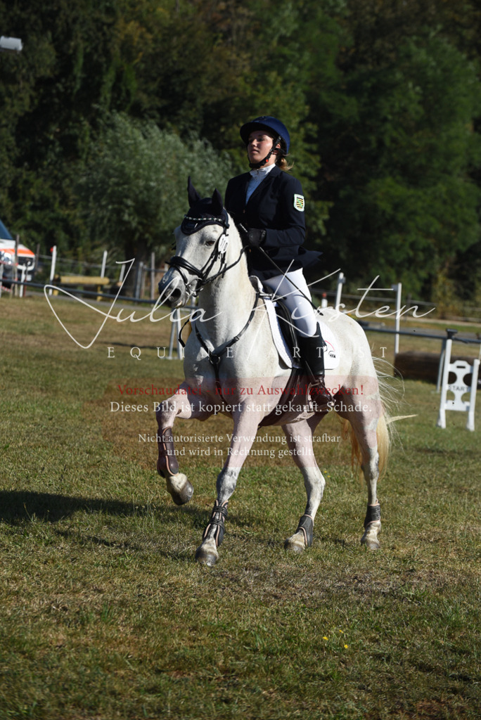 DSC_5326 | Pferde- und Turnierfotografie in Westsachsen. Pferdeportraits, Auftragszeichnungen und intuitive Kunst.